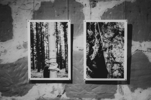 transit · Priska Leutenegger, Kathrin Racz, Heike Röhle · Kulturmühle Lützelflüh